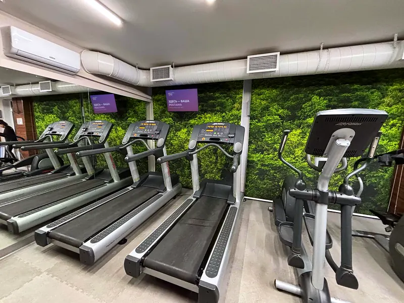 2DFit Королева