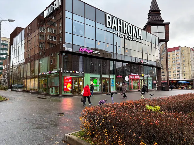 Кисточки Просвещения