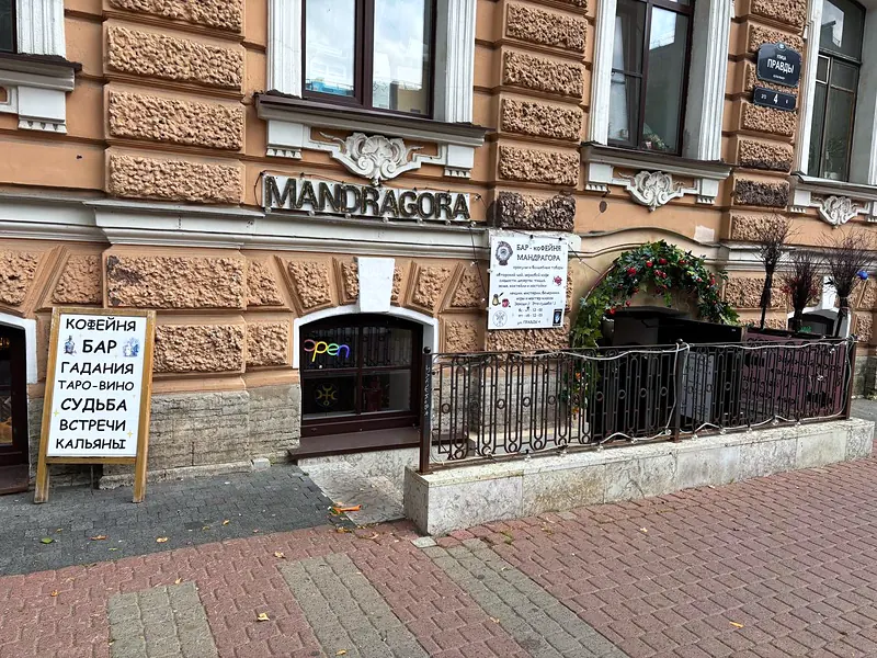 Мандрагора